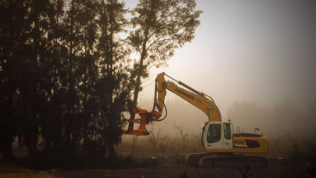 Westtech Woodcracker C550 Fällgreifer Baumschere Westtech Woodcracker C550 Fällgreifer Baumschere - Osprzęt do Maszyn leśnych: zdjęcie 2 Westtech Woodcracker C550 Fällgreifer Baumschere Westtech Woodcracker C550 Fällgreifer Baumschere - Osprzęt do Maszyn leśnych: zdjęcie 2