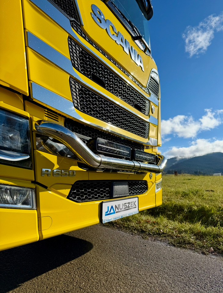 Samochód do drewna, Samochod ciężarowy z HDS SCANIA R650: zdjęcie 11