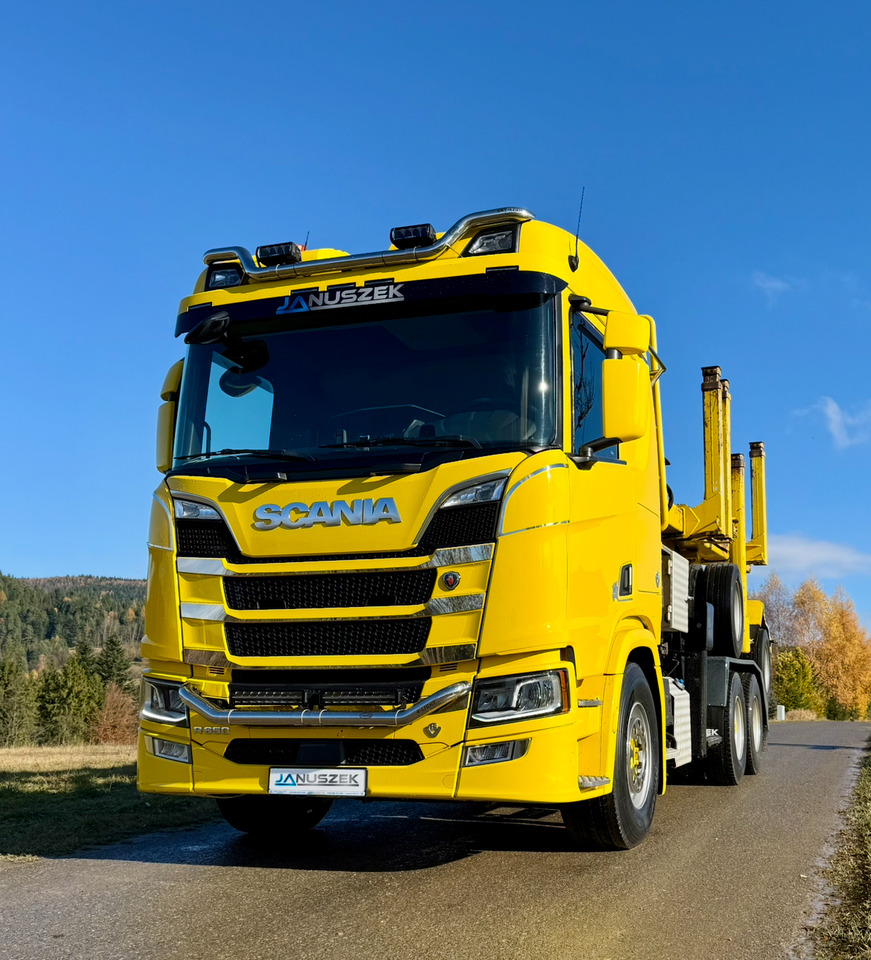 Samochód do drewna, Samochod ciężarowy z HDS SCANIA R650: zdjęcie 10
