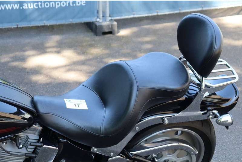 Motocykl Harley-Davidson Softail Custom: zdjęcie 18 Motocykl Harley-Davidson Softail Custom: zdjęcie 18