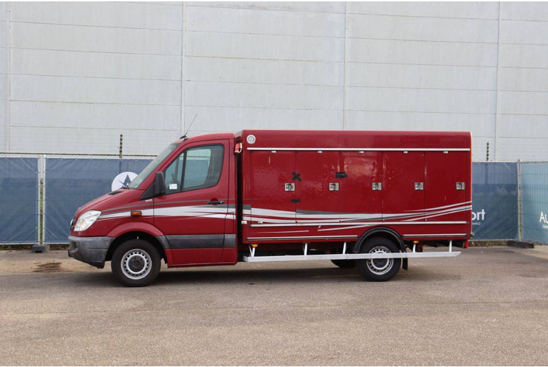 Mercedes-Benz 313CDI - Dostawczy kontener: zdjęcie 1 Mercedes-Benz 313CDI - Dostawczy kontener: zdjęcie 1