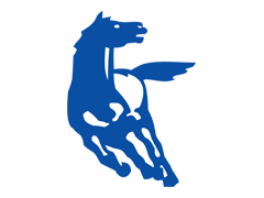 Dane techniczne Kamaz